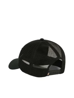 Cappellino Trucker Lewistown