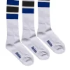 DICKIES - Calze Blu