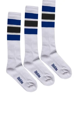 DICKIES - Calze Blu