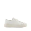 English Sneakers