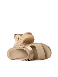 Goldenstar Glide