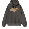 Hooded Library Sweatshirt