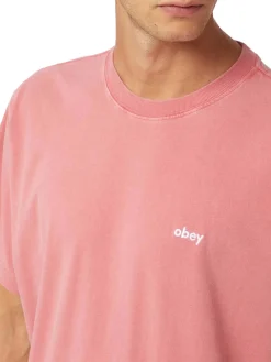 Lowercase Pigment Tee Ss