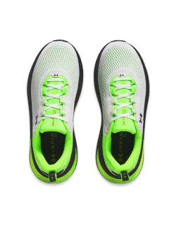 Scarpe UA Infinite Elite 2