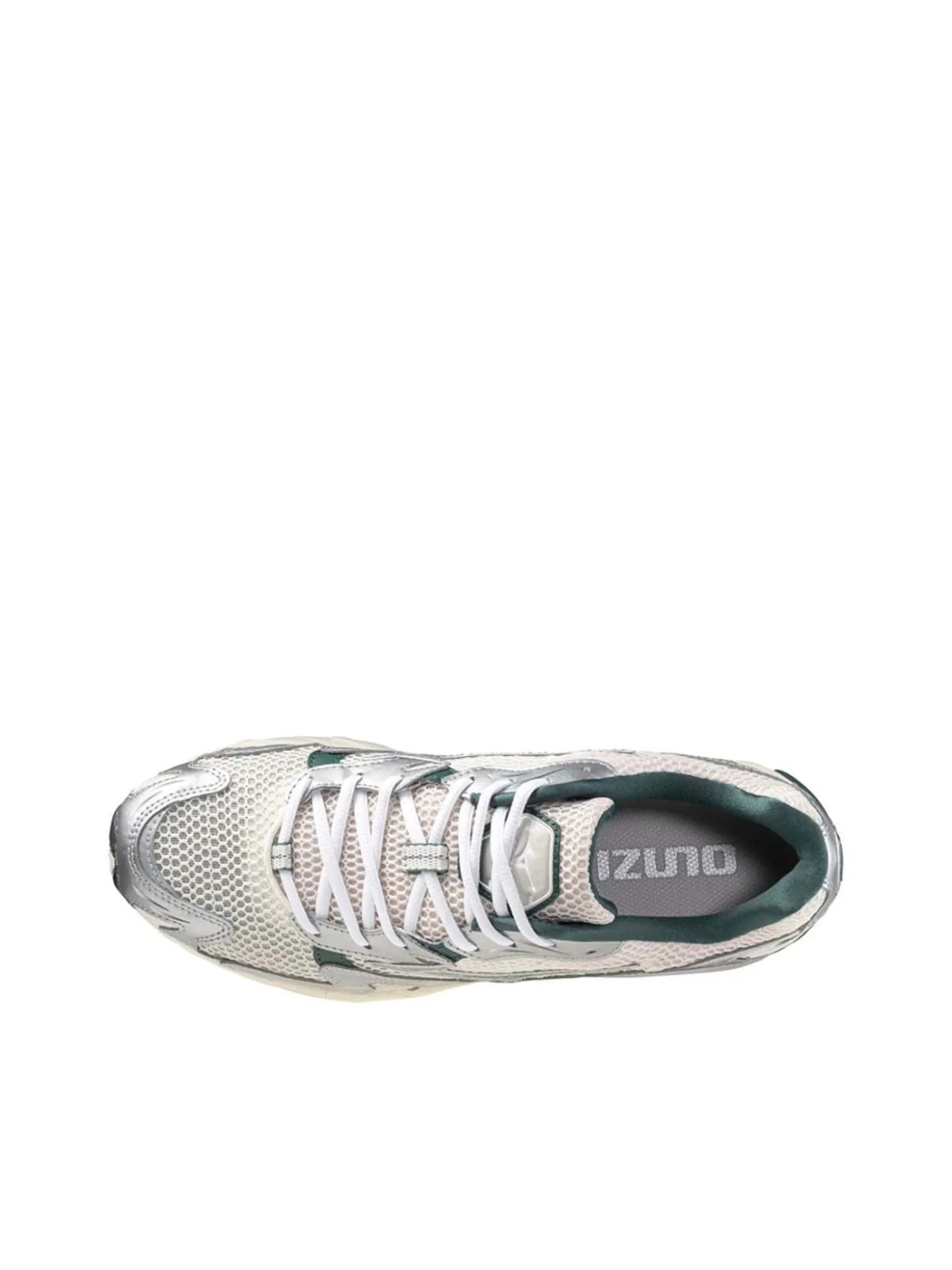 Scarpe Wave Rider 10