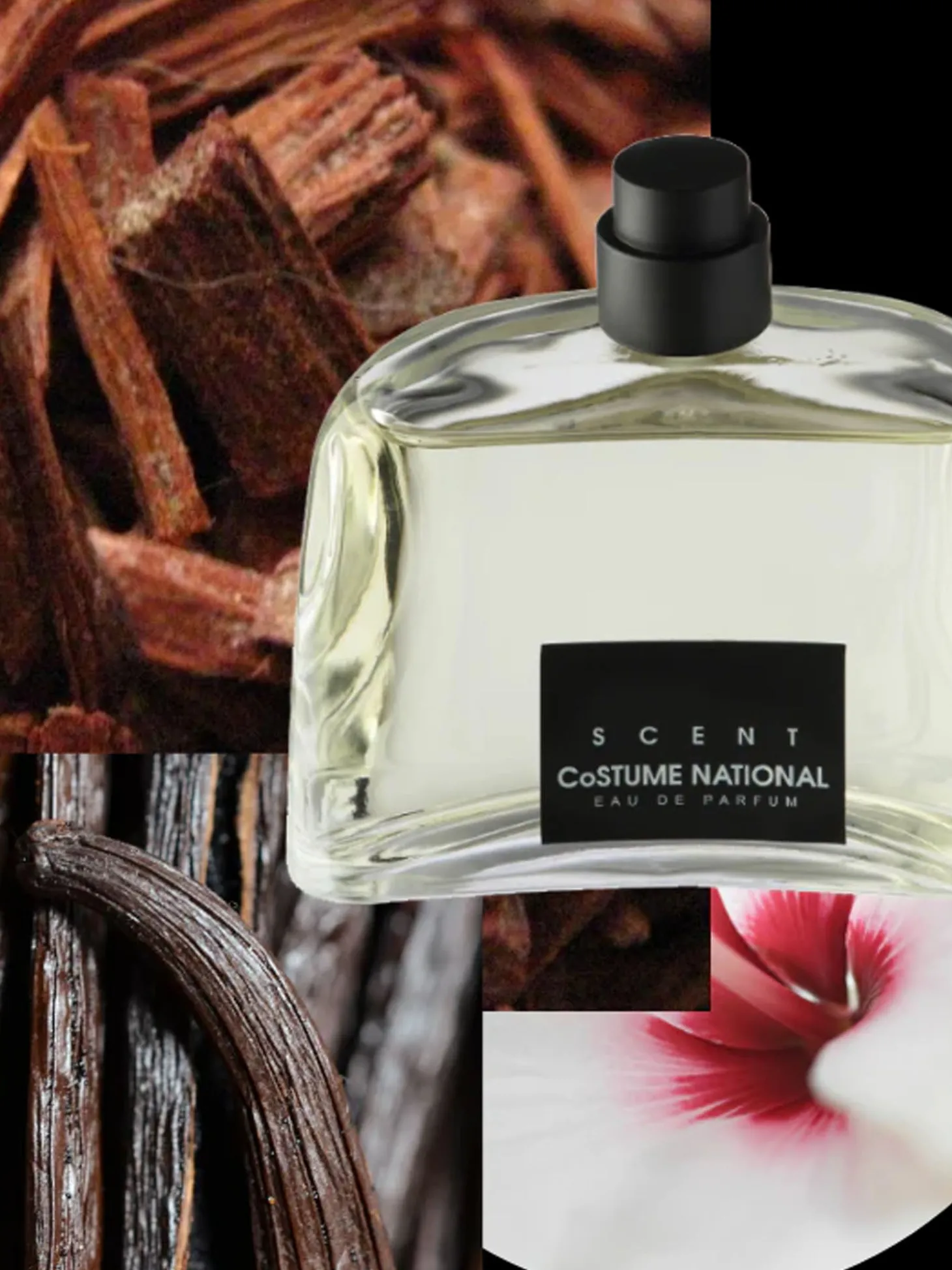 Scent Eau De Parfum 100Ml