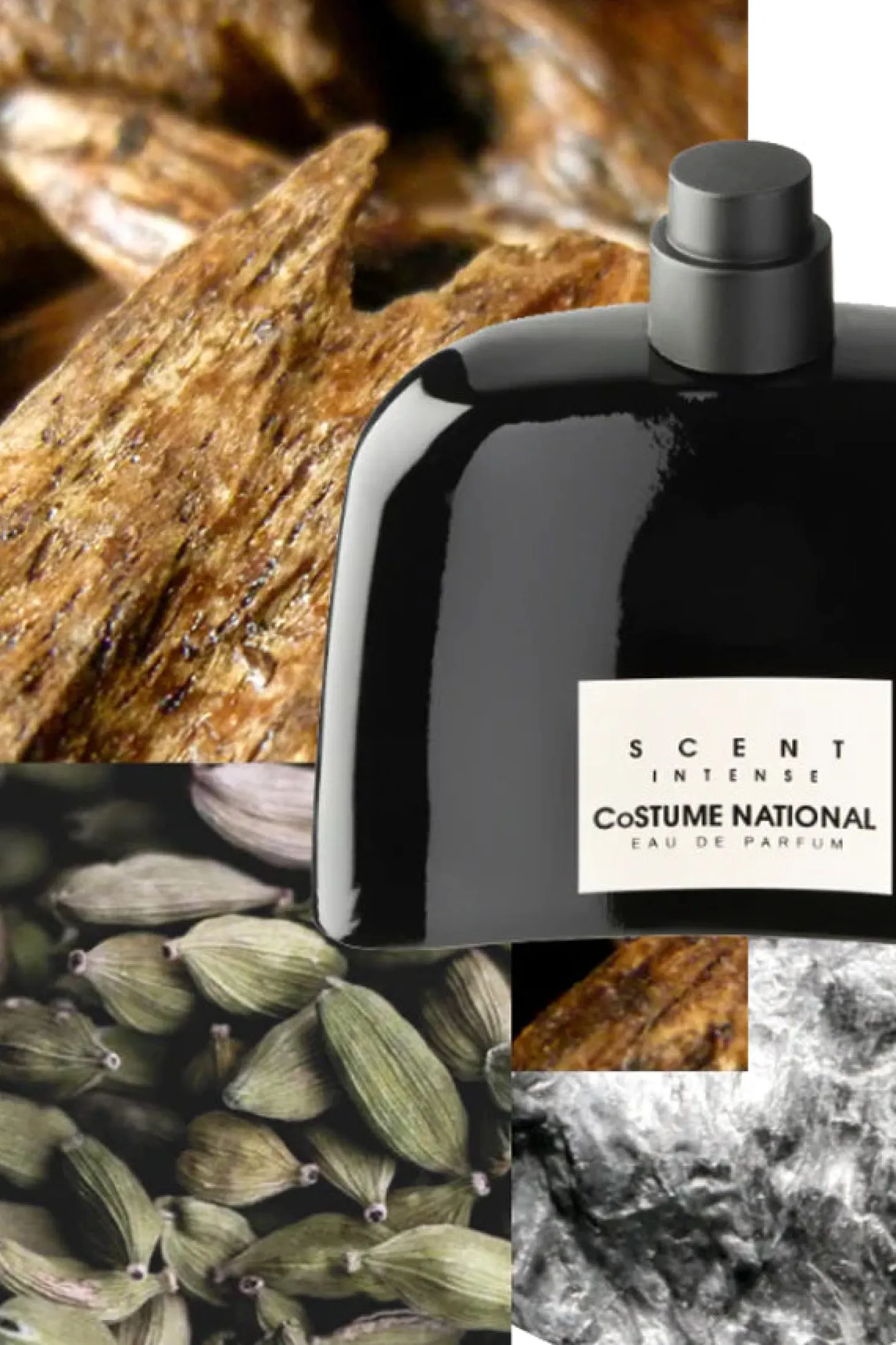 Scent Intense Eau De Parfum 100Ml